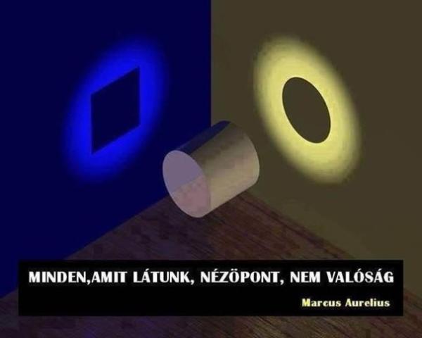 A NÉZŐPONT MAKACS? vagy ÉN?